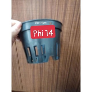 Chậu nhựa trồng lan đen phi 12 đến phi 18