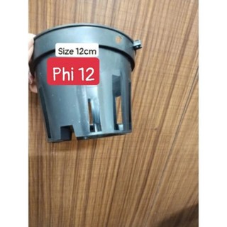 Chậu nhựa trồng lan đen phi 12 đến phi 18