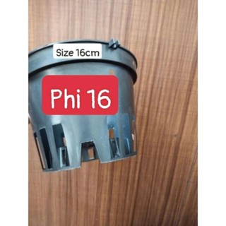 Chậu nhựa trồng lan đen phi 12 đến phi 18