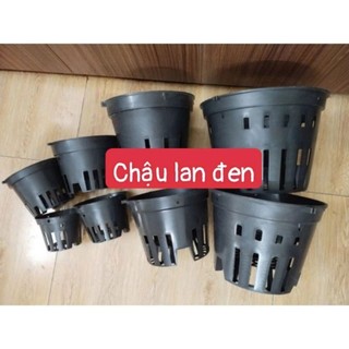 Chậu nhựa trồng lan đen phi 12 đến phi 18