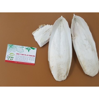 Ô Tặc Cốt (Mai Mực) 500g - Hàng Công Ty Đạt Chất Lượng