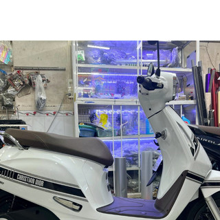 TEM EVO 200 FASHION ( màu sắc có thể thay đổi) DECAL 3A
