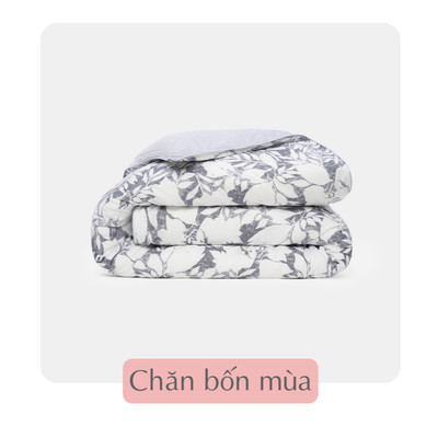 Chăn bốn mùa/Vỏ chăn cao cấp BST2025 Everon (Họa tiết in/thêu, Chất liệu Tencel/Modal/Cotton, kích thước 200x220)