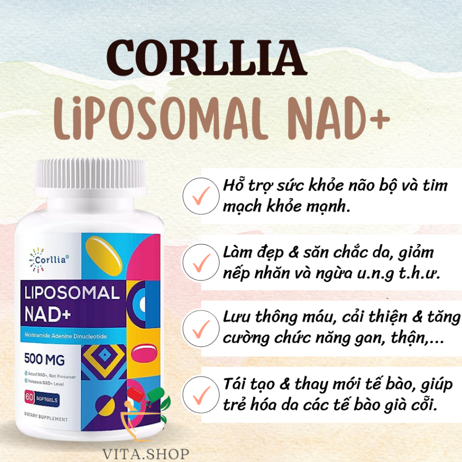 Corllia Viên uống Liposomal NAD+ 500mg Chống Lão Hóa, Sửa Chữa Tế Bào Nicotinamide Mononucleotide