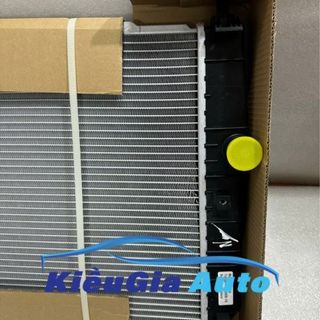 KÉT NƯỚC DAEWOO GENTRA - 96816481