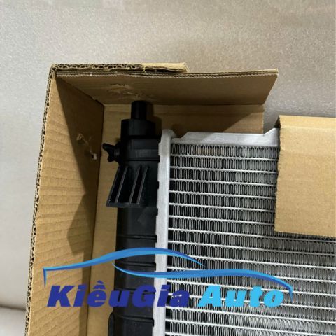 KÉT NƯỚC DAEWOO GENTRA - 96816481