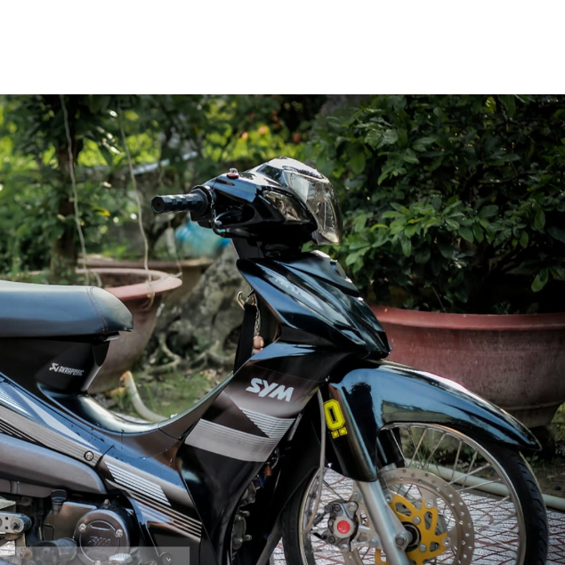 TEM ELEGANT 50 SYM NANO DECAL 3A