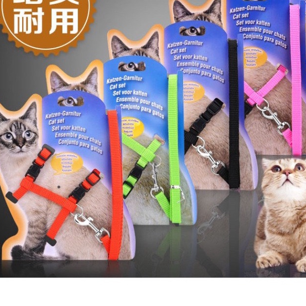 BỘ DÂY DẮT CHUYÊN DỤNG CHO MÈO