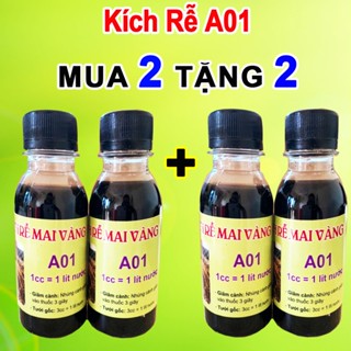 Kích rễ mai vàng A01 tưới gốc giâm chiết cành, Phân bón kích rễ phù hợp mọi loại cây [ Mua 2 Tặng 2]