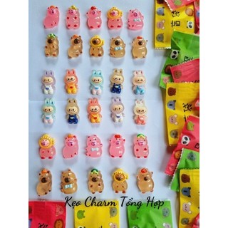 Combo 20/10/5 túi mù kẹo charm mù kẹo charm tổng hợp gói charm mù