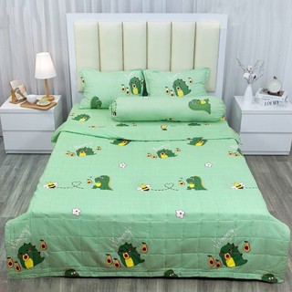 [GIÁ HỦY DIỆT] Chăn Hè Trần Bông Vải Cotton PoLy (Để lại lời nhắn khi chọn mẫu )