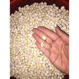 BỘT THẤT CỐC (KHÔNG ĐẬU NÀNH - KHÔNG ĐƯỜNG) HANDMADE 1KG