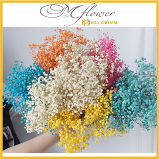 Hoa baby ướp , 10gram baby khô❤️FREESHIP❤️ Gypsophila hoa khô trang trí phòng ngủ, làm đồ handmade