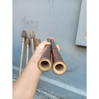 Phôi Tiêu - Mèo gốc trúc hun