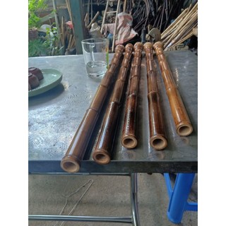 Phôi Tiêu - Mèo gốc trúc hun