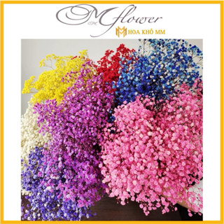 1 bó baby 120gram ,Hoa baby ướp khô hoa khô trang trí phòng ngủ, làm đồ handmade Chụp ảnh siêu xinh