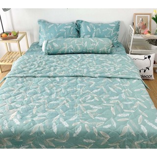 [GIÁ HỦY DIỆT] Chăn Hè Thu Trần Bông Poly Cotton Vải Mềm (Chát Để Chọn Thêm Mẫu Nha)