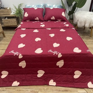 [GIÁ HỦY DIỆT] Chăn Hè Thu Trần Bông Poly Cotton Vải Mềm (Chát Để Chọn Thêm Mẫu Nha)