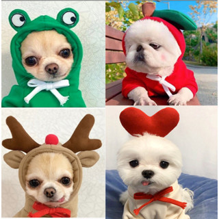 Áo hình ảnh trái cây CUTE cho Chó Mèo có mũ - Quần áo thú cưng (2 chân) Có size To