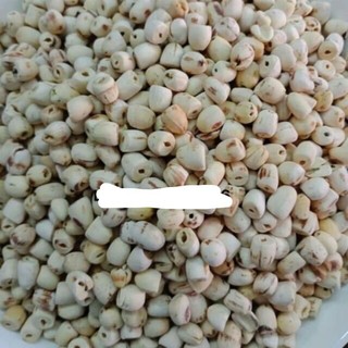 [Giá tốt] Hạt sen khô Đồng Tháp