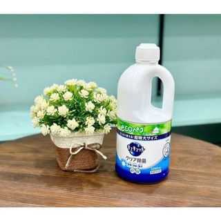 Nước rửa bát Kao 1250ml Nhật Bản