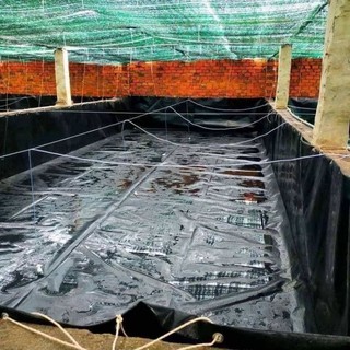 Bể bạt nuôi ốc ,ếch,lươn ,cá- bạt đen HDPE