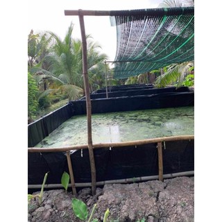 Bể bạt nuôi ốc ,ếch,lươn ,cá- bạt đen HDPE