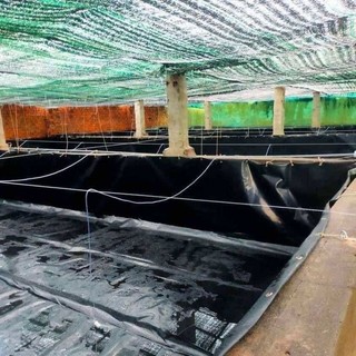 Bể bạt nuôi ốc ,ếch,lươn ,cá- bạt đen HDPE