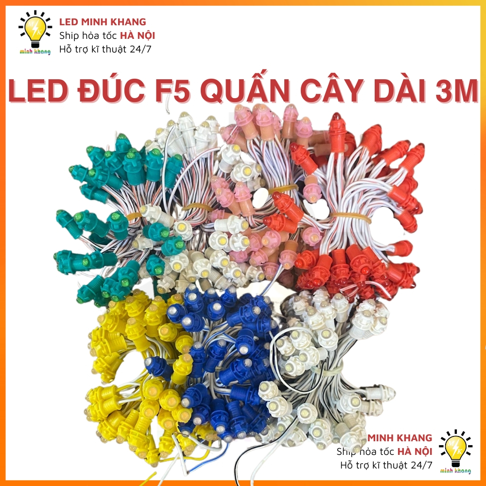 LED đúc Chống Nước F5 điện 12V (Dây 3 mét, 50 bóng) trang trí, quấn cây đường phố