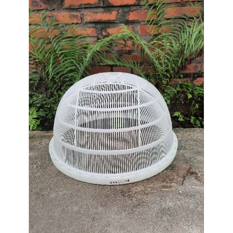 RỔ LỌC CÁ GIỐNG