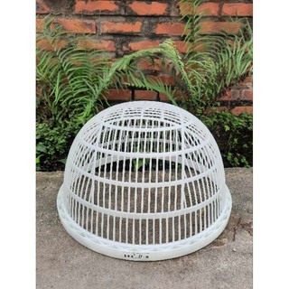 RỔ LỌC CÁ GIỐNG