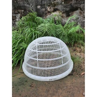 RỔ LỌC CÁ GIỐNG