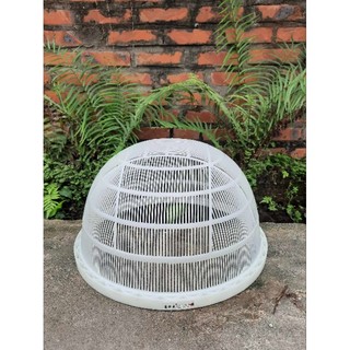 RỔ LỌC CÁ GIỐNG