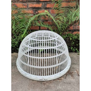 RỔ LỌC CÁ GIỐNG