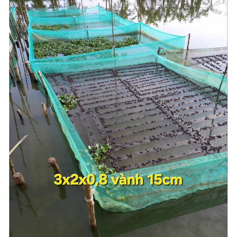 Lồng nuôi ếch - bấm mua chọn kích thước