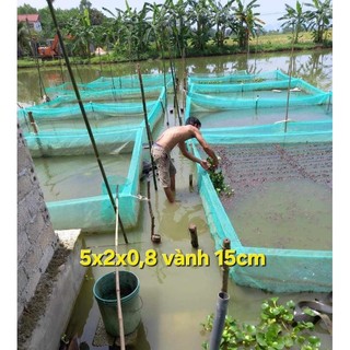 Lồng nuôi ếch - bấm mua chọn kích thước