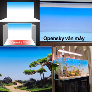 SALE HOT - Tranh dán bể cá OPEN SKY - Giá xưởng sale sập sàn - LEGEND AQUA