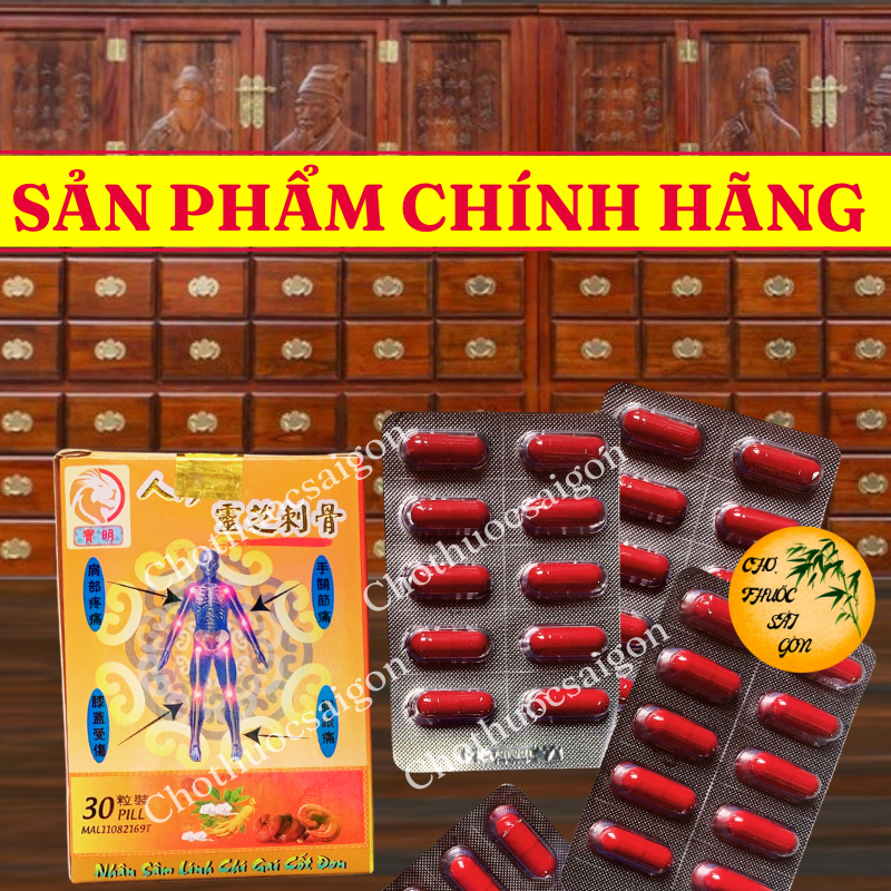 (CAM KẾT HÀNG LOẠI 1) Nhân sâm linh chi gai cốt đơn 30v