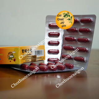 (CAM KẾT HÀNG LOẠI 1) Nhân sâm linh chi gai cốt đơn 30v