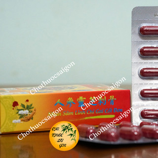 (CAM KẾT HÀNG LOẠI 1) Nhân sâm linh chi gai cốt đơn 30v
