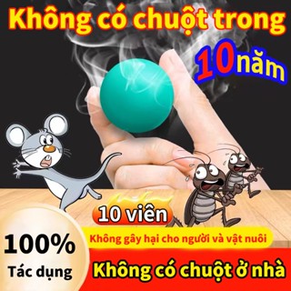 🐭Không có chuột ở nhà👻thuốc đuổi chuột trong nh long não đuổi chuột (10 cái Dễ sử dụng nhanh và hiệu quả không độc hại)