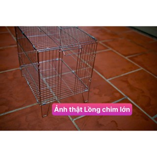HCM-Lồng tắm chim lớn gắp gọn dành cho chim Khướu, Họa my, Chào mào, Chòe - Lồng tắm lớn 100% inox không gỉ sét