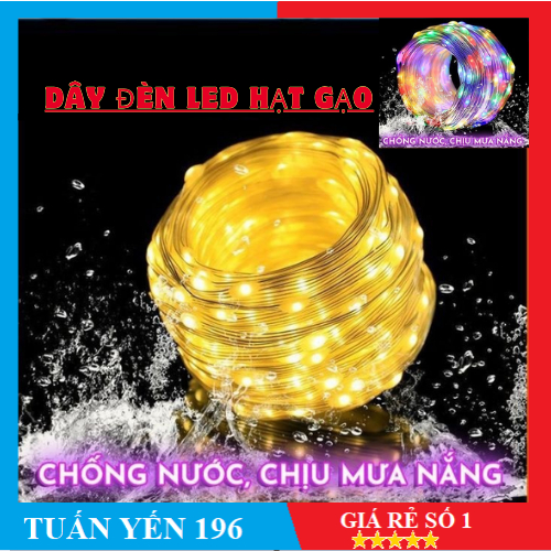Dây đèn led ruồi 10m/50m/100m  chống nước trang trí ngoài ngoài trời, chớp nháy nhiều kiểu Ánh Sáng 