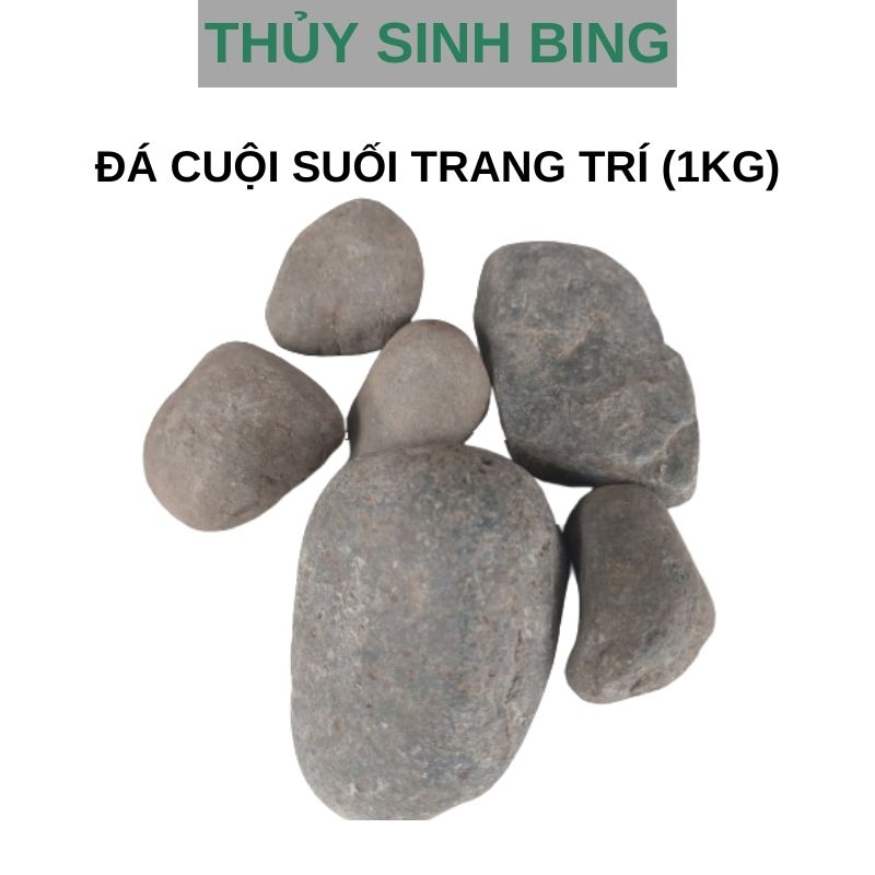 Đá cuội suối trang trí hồ cá, setup layout (1kg)
