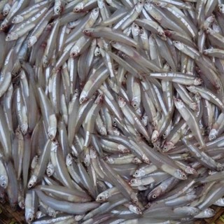 sỉ 1kg cá Cơm trắng hấp khô