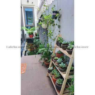 Kệ Gỗ Chữ A 3 Tầng Kệ Để Hoa Chậu Cây Trang Trí Nhỏ Gọn