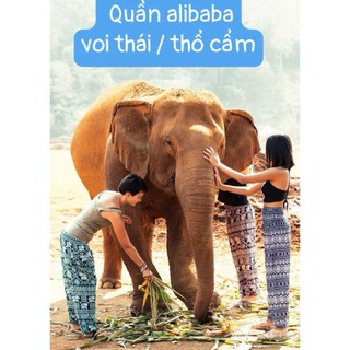 🌸 Quần Alibaba Harem màu trơn