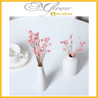 Hoa khô Glixia ,bó 100 cành Cúc bất tử TUYẾT NHIỆT ĐỚI ,deco siêu đẹp