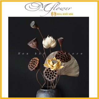 ngó sen khô trang trí, sen gỗ ,dứa gai ,búp sen, cành Gòn hoa khô deco phong thủy cách siêu cổ điển sang trọng