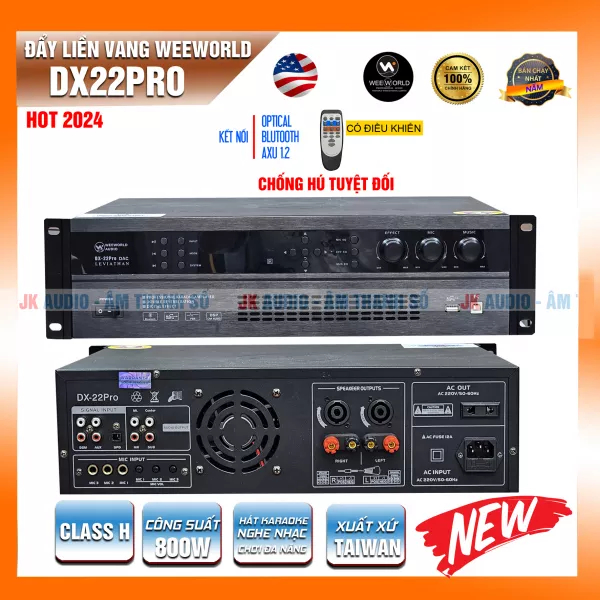 Đẩy liền vang Weeworld DX22 Pro DAC